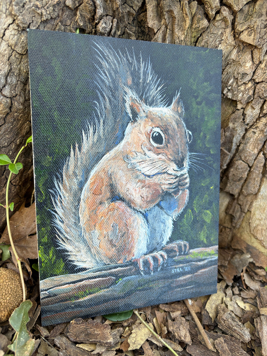 Red Squirrel- ORIGINAL PAINTING