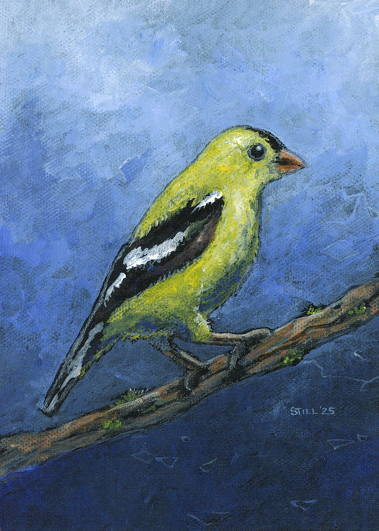 Goldfinch - ORIGINAL PAINTING