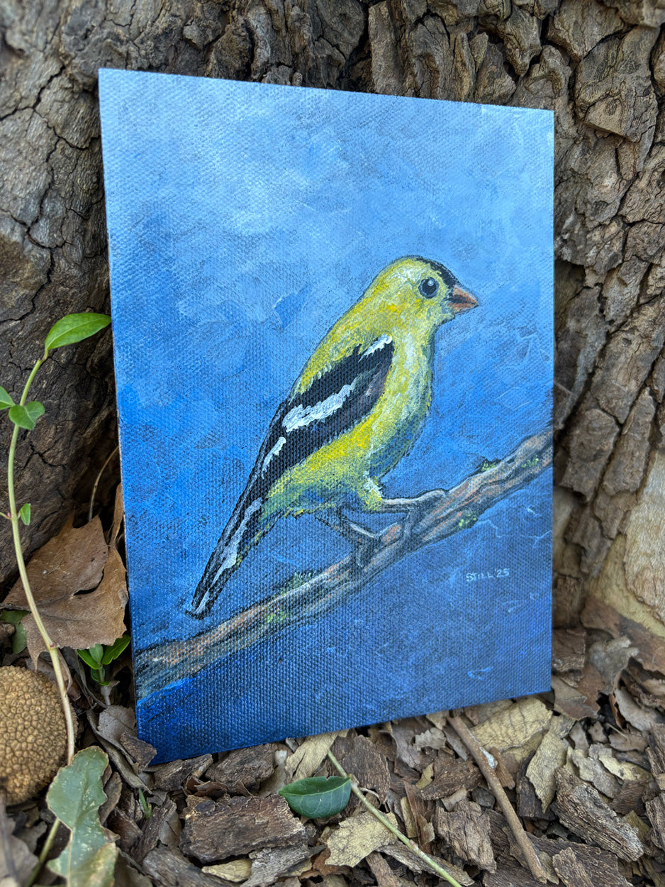 Goldfinch - ORIGINAL PAINTING
