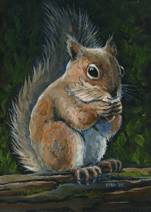 Red Squirrel- ORIGINAL PAINTING